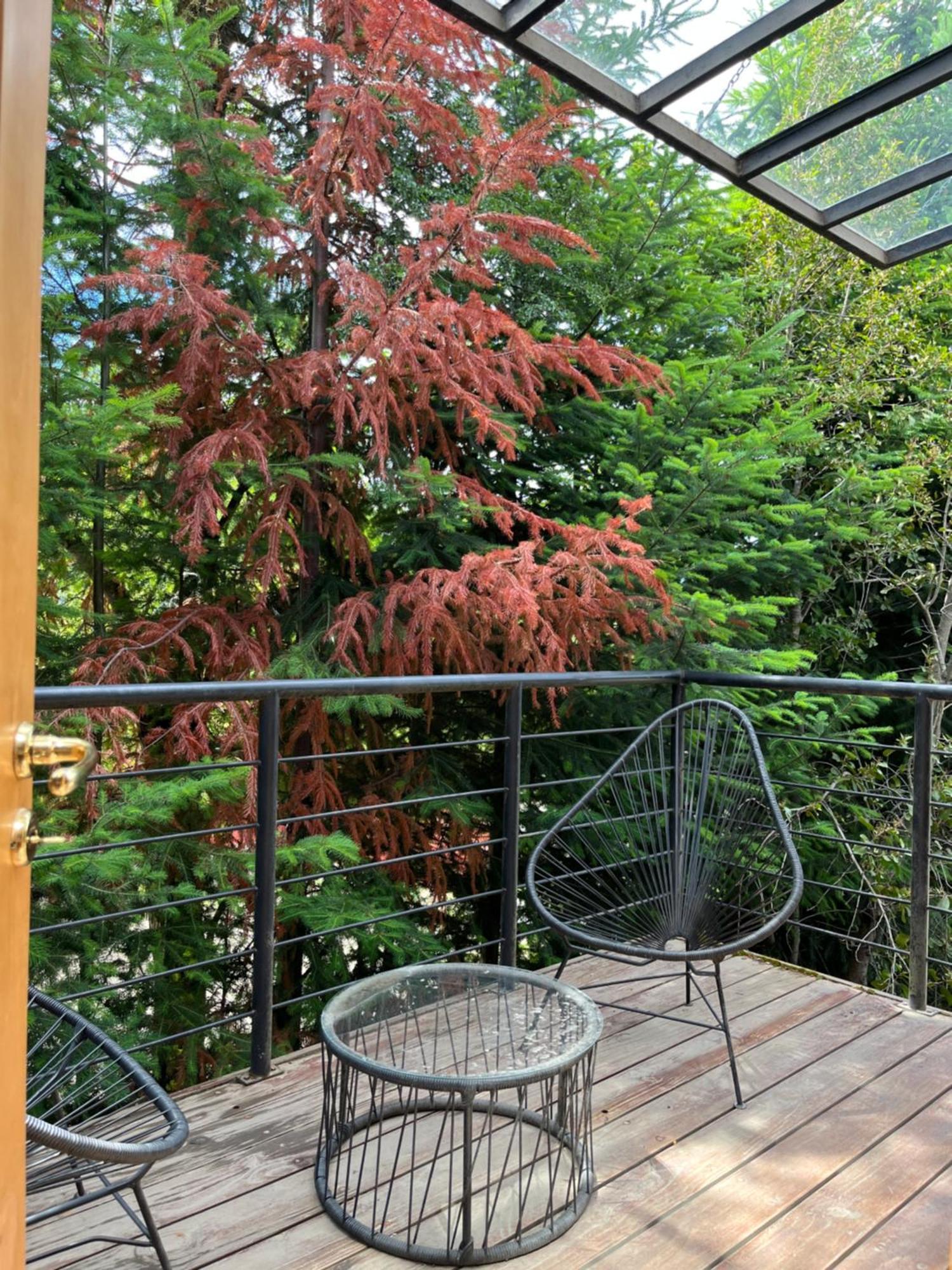 Вилла Balcones Del Sayhueque Вилья-ла-Ангостура Экстерьер фото